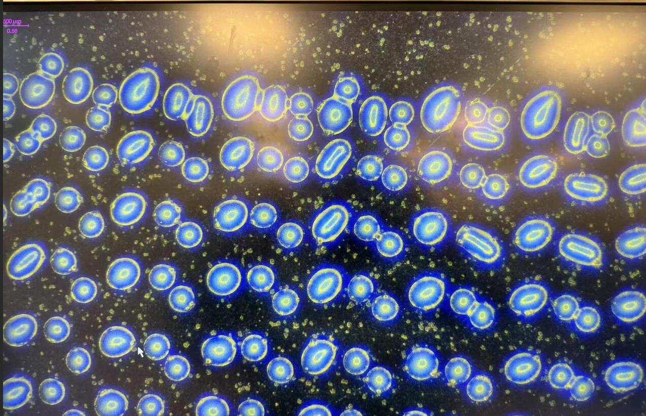 喷印高度对喷印质量的影响(图4)